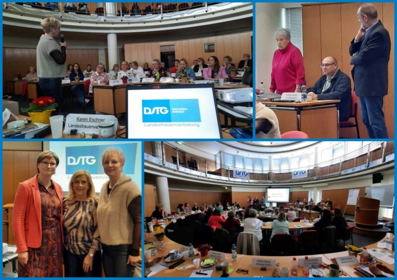 6. Tagung LFV 03_2026